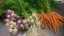 Carrots, turnips and spring onions with tops on